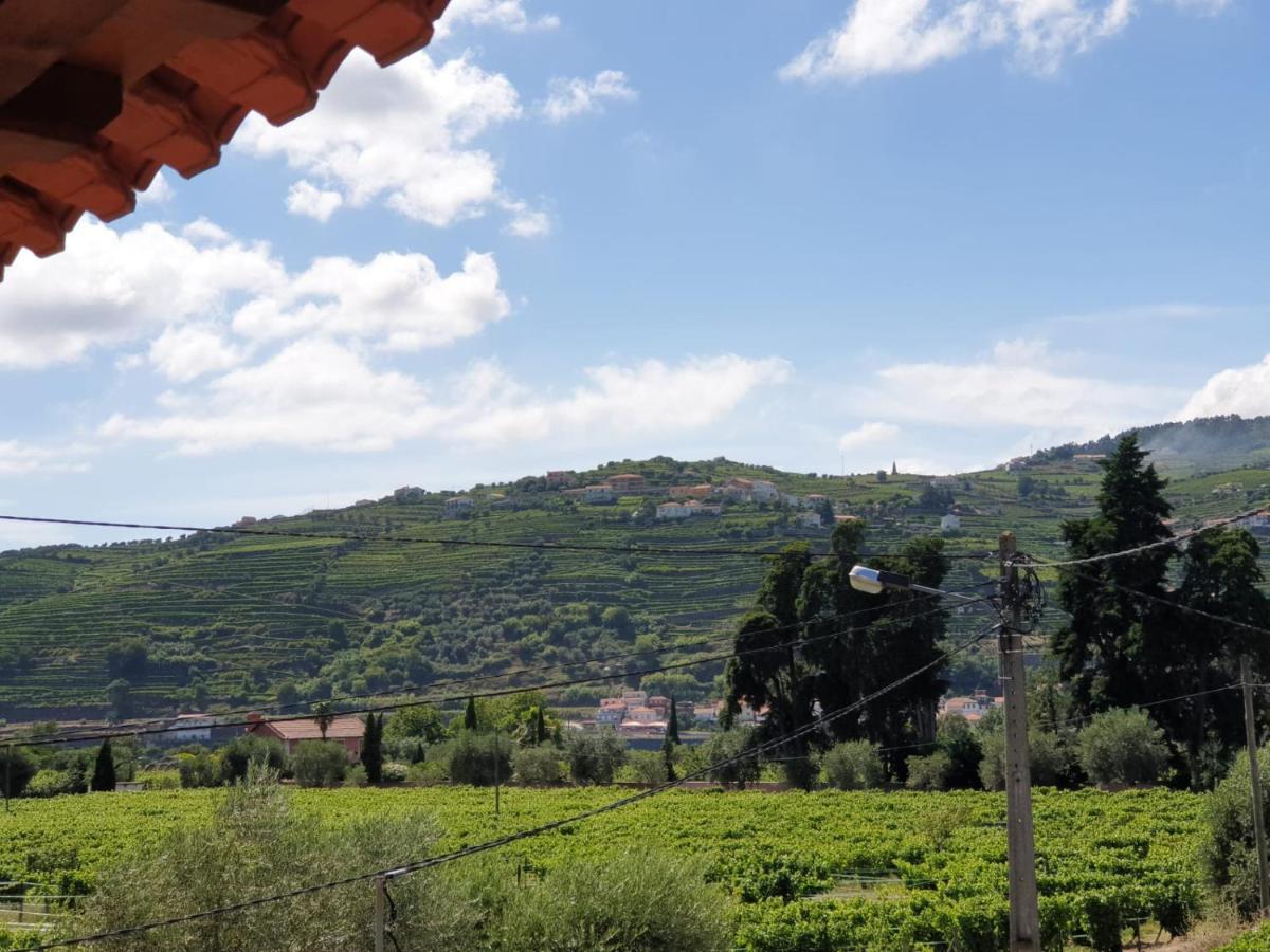 Vivenda Oliveira - Alojamento Local Lamego Dış mekan fotoğraf